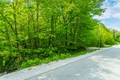 Vacant Land in Tiny