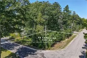 Vacant Land in Tiny