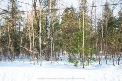Vacant Land in Tiny