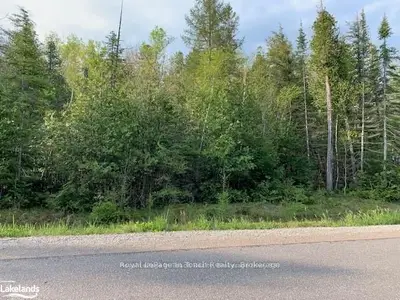 Vacant Land in Tiny