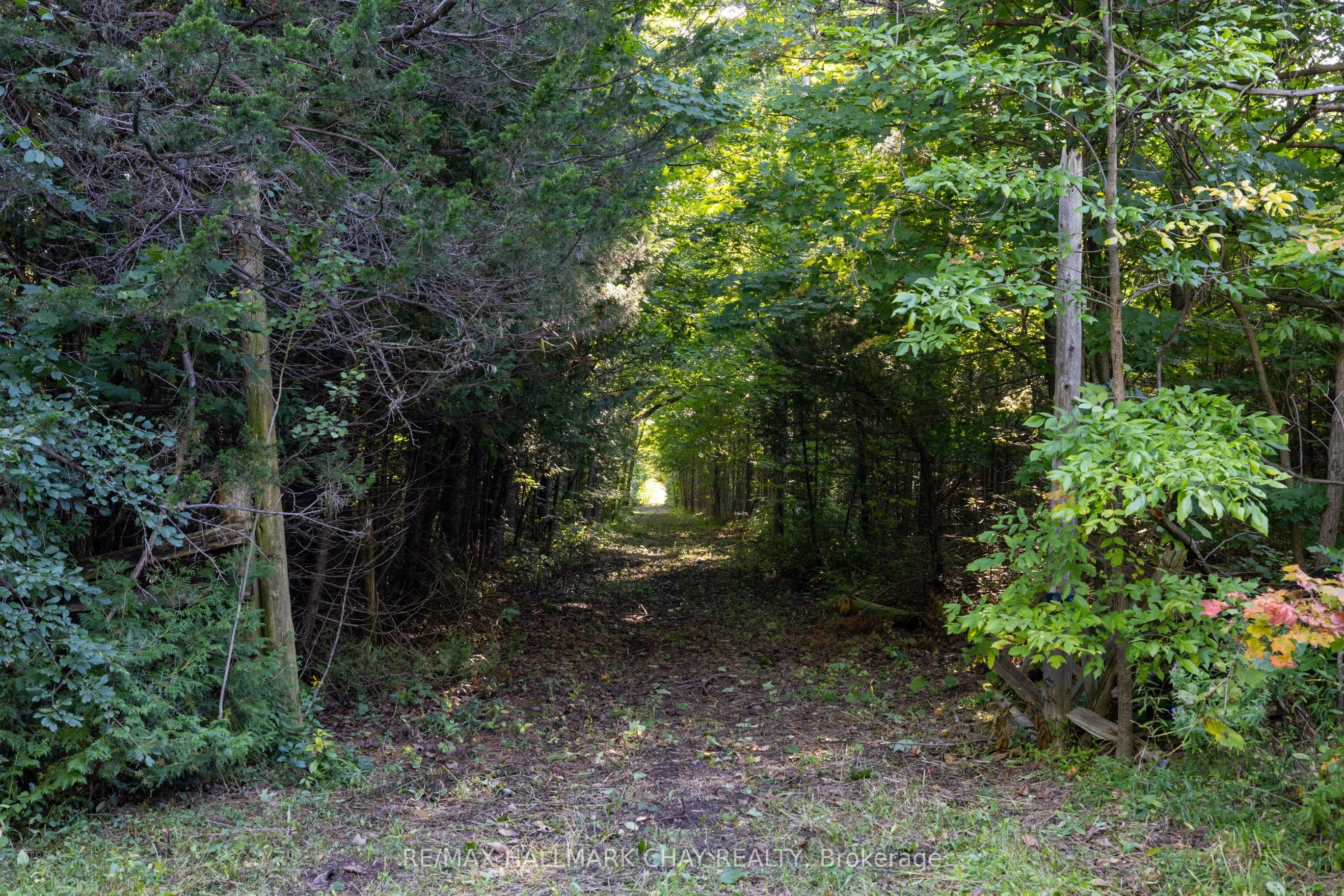 Vacant Land in Oro-Medonte