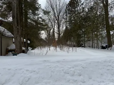 Vacant Land in Tiny