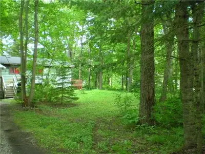 1739 Kennedy Road, Trent Lakes, On K0m 1a0
