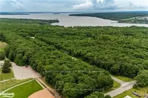 Vacant Land in Tiny