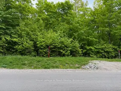 Vacant Land in Tiny