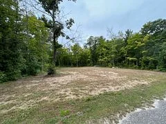 Vacant Land in Tiny
