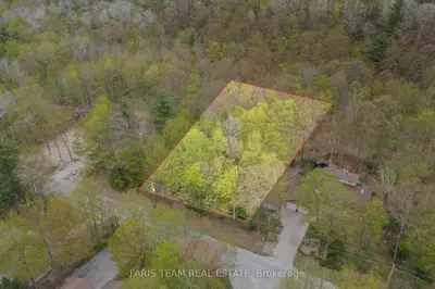 Vacant Land in Tiny