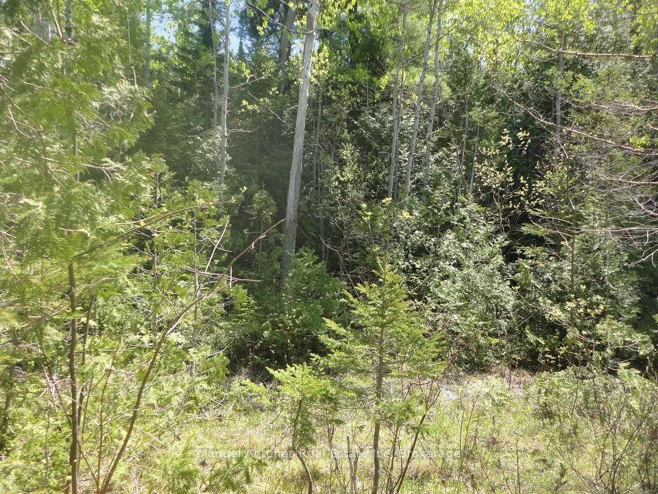 LT 53 Bay Sands Drive, Wasaga Beach, ON L9Z 1V1
