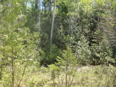 Vacant Land in Wasaga Beach