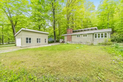 Detached in Tiny