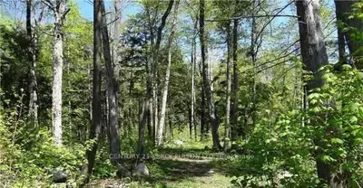 122 Nippissing Ridge Road, Tiny, On L9m 0h6