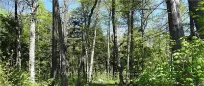 90 Nippissing Ridge Road, Tiny, On L9m 0h6