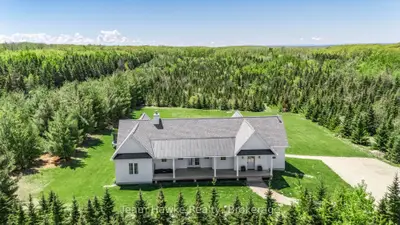 Detached in Tiny