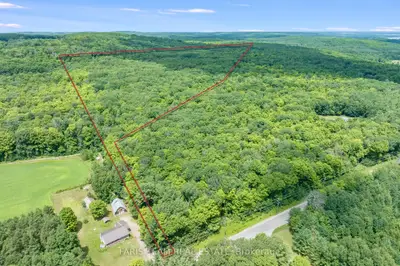 Vacant Land in Tiny
