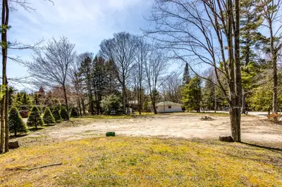 Vacant Land in Tiny