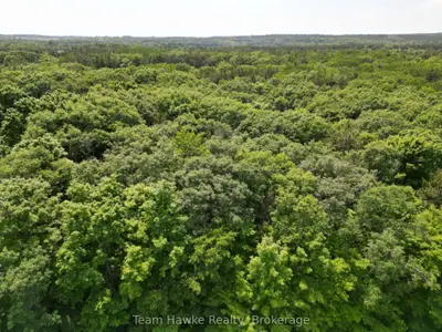 Vacant Land in Tiny