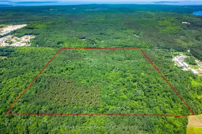 Vacant Land in Tiny