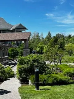 Condo Apartment in Collingwood