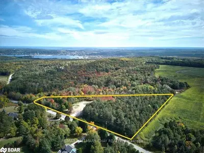 Vacant Land in Tiny