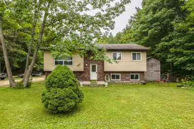 Detached in Tiny