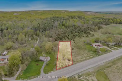 Vacant Land in Tiny