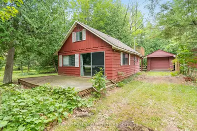 Detached in Tiny