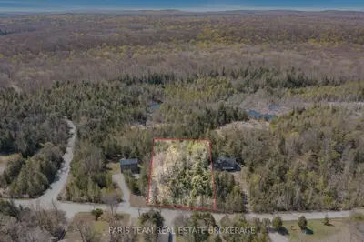 Vacant Land in Tiny