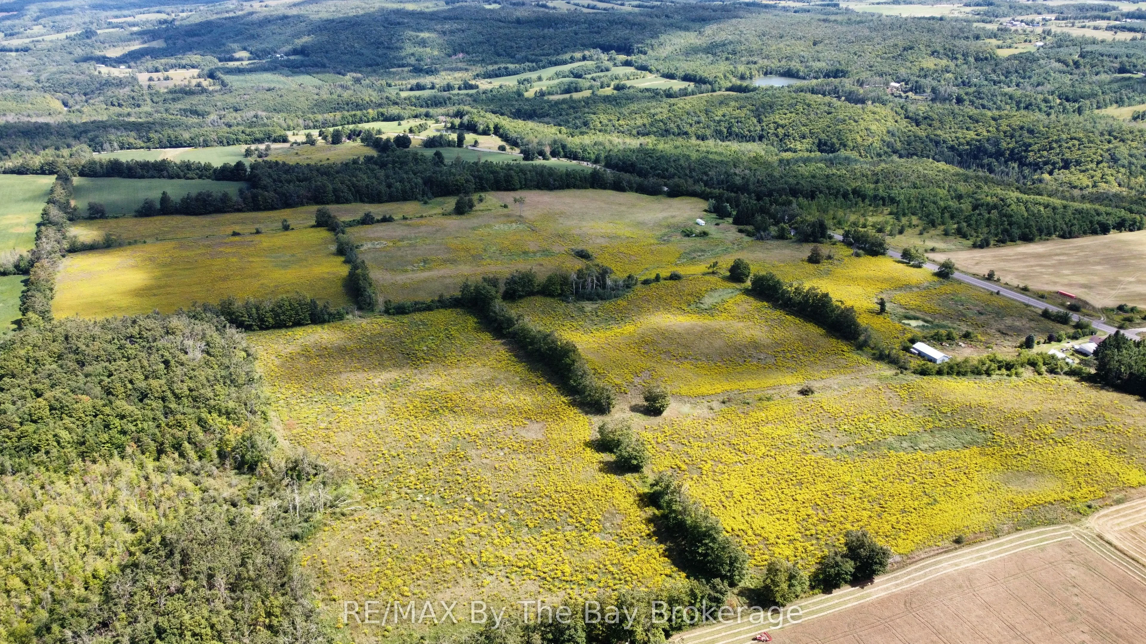 Farm in Clearview