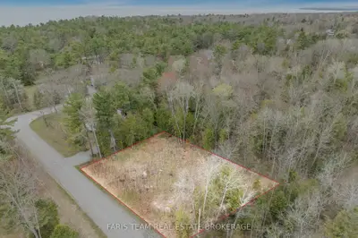 Vacant Land in Tiny