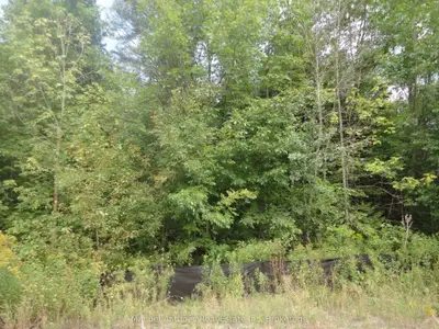 Vacant Land in Wasaga Beach