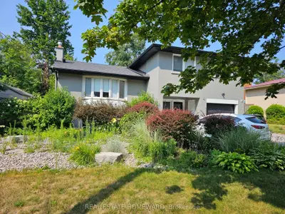 Lower Level in Barrie