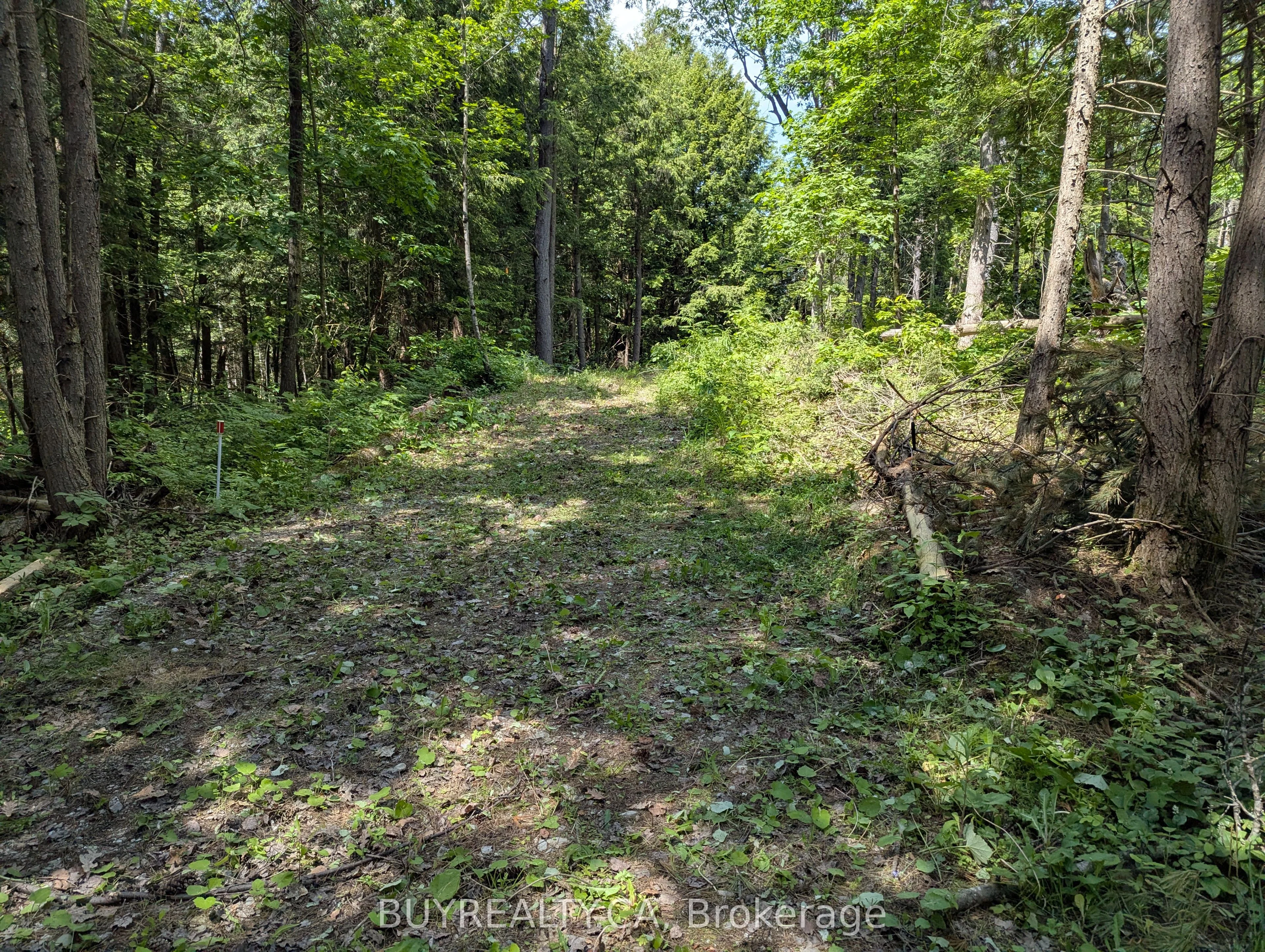 2318 Sherwood Forest Lane, Severn, On L0k 1e0