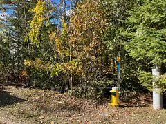 00000 River Road E, Wasaga Beach, On L9z 2p3