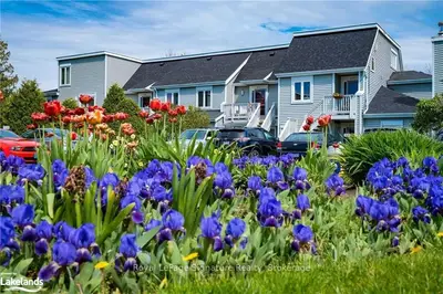 55 Trott Boulevard 124, Collingwood, On L9y 5b8