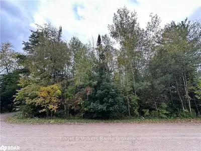 Vacant Land in Tiny
