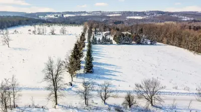 3476 Garden Of Eden Road, Clearview, On L0m 1g0