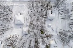 Vacant Land in Tiny