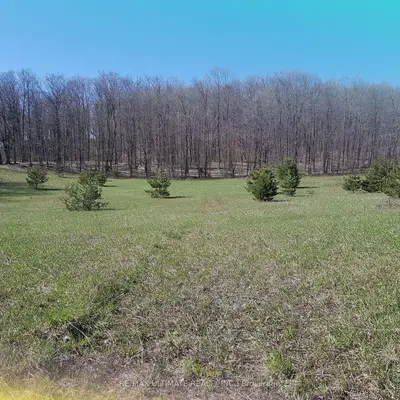 1024 Old Barrie Road, Oro-medonte, On L0l 2l0