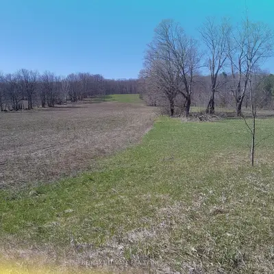 1024 Old Barrie Road, Oro-medonte, On L0l 2l0