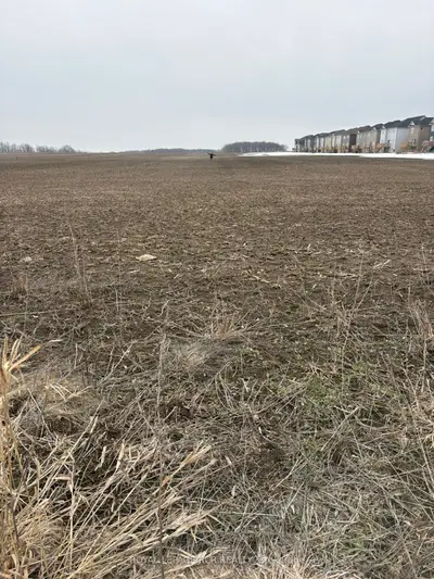 Pt Lt 26 Con 1 Nottawasaga Pt 2, R744, Clearview, On L0m 1s0