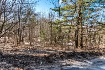 19 Birch Grove Drive, Oro-medonte, On L0l 2l0