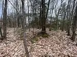 Lot 705 Wolfe Trail, Tiny, On L9m 0h7