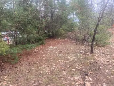 Lot 514 Tall Pines Drive, Tiny, On L9m 0h7