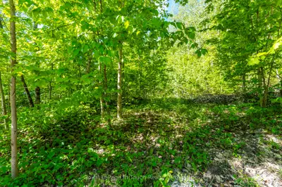 1536 Champlain Road, Tiny, On L9m 0c1