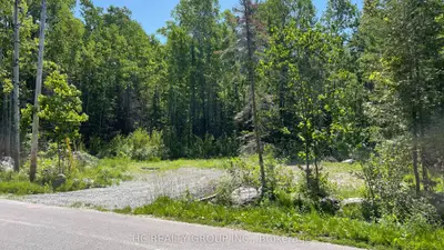 Lt101 Silver Birch Drive, Tiny, On L9m 0m5