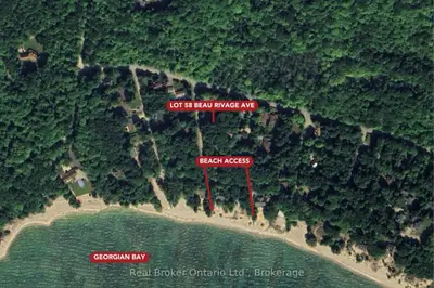 Vacant Land in Tiny