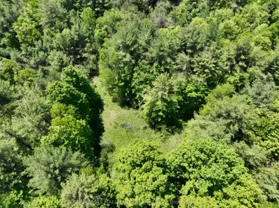 1676 Old Second Road S, Springwater, On L9x 1p1