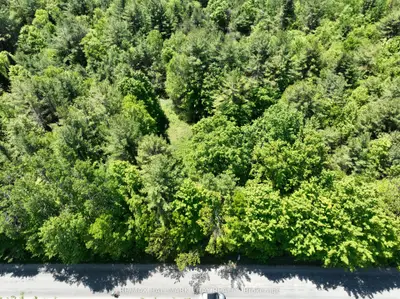1676 Old Second Road S, Springwater, On L9x 1p1