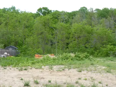 Vacant Land in Tiny