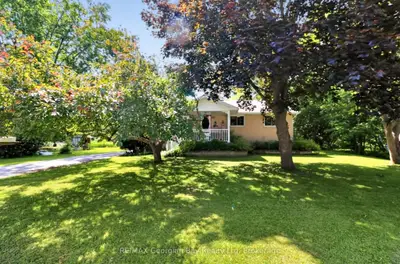 Detached in Tay
